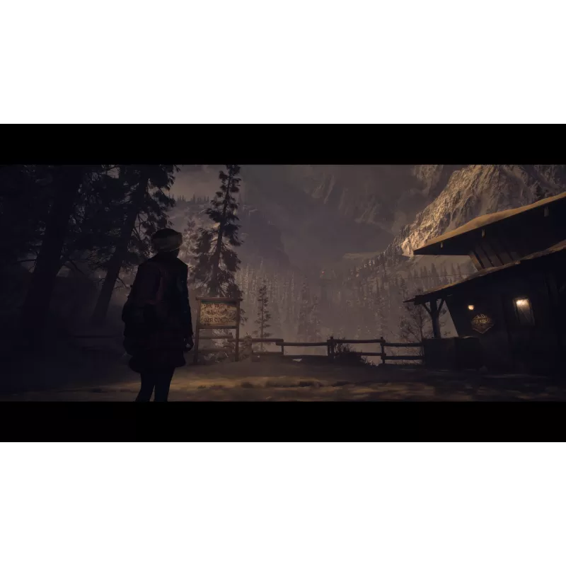 Sony Until Dawn Standard Mehrsprachig PlayStation 5