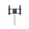 Einzelbildschirm Public Display Stand MULTIBRACKETS M – Schwarz, unterstützt bis zu 60 kg, VESA 200x200–800x400