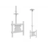 Multibrackets M Public Ceilingmount Medium Single White 3000 Maximale Tragfähigkeit 30 kg Min. Bildschirmgröße 32 Zoll Max. Bildschirmgröße 55 Zoll