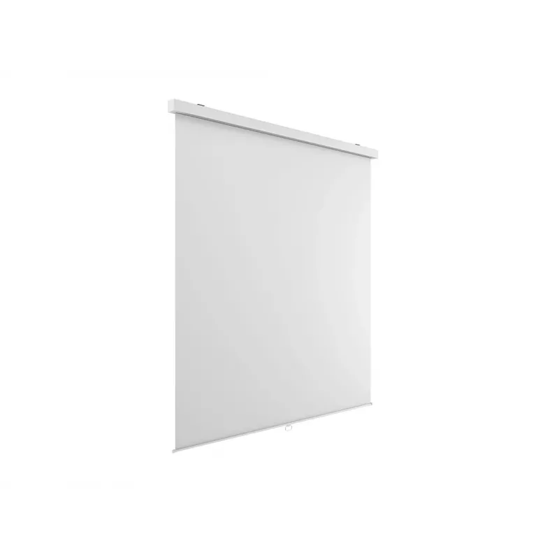 Multibrackets M 1:1 manuelle Projektionsleinwand 240x240, 135 Zoll White Edition