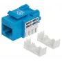 Intellinet Keystone-Buchse, Cat6, UTP, LSA, Blau, Flach, Blau, RJ-45, Buchse, 22/26, Cat6