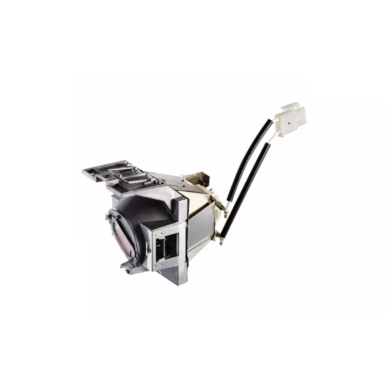 Viewsonic RLC-117 Projektorlampe