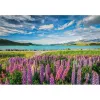 Clementoni High Quality Collection 31731 Puzzle 1500 Teile Landschaft