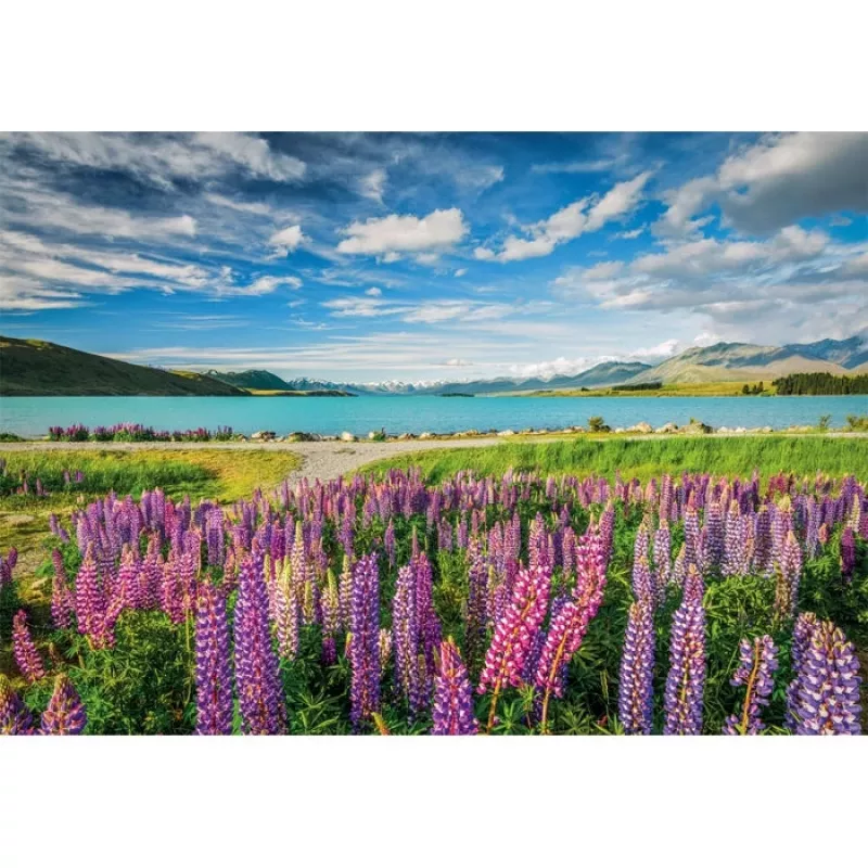 Clementoni High Quality Collection 31731 Puzzle 1500 Teile Landschaft