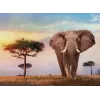 Clementoni African Sunset Puzzle 500 Teile Tiere