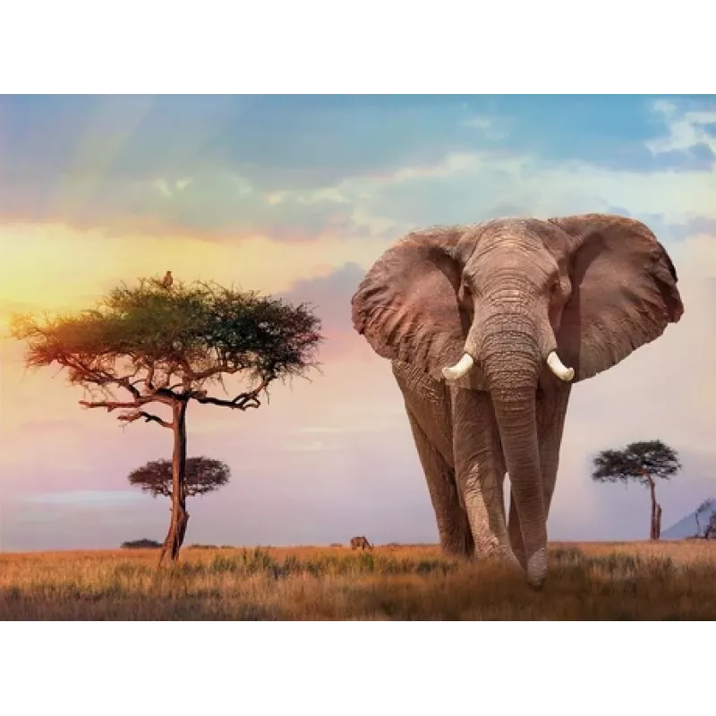 Clementoni African Sunset Puzzle 500 Teile Tiere
