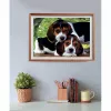 Clementoni High Quality Collection Close Together Puzzle 500 Stk. Tiere