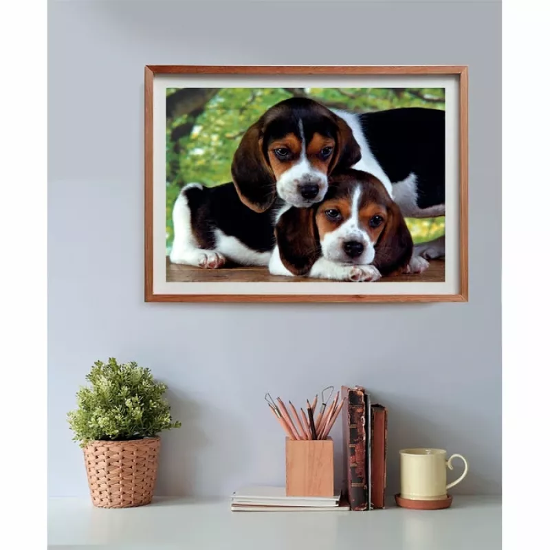 Clementoni High Quality Collection Close Together Puzzle 500 Stk. Tiere