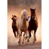 Clementoni Running Horses Puzzle 1000-teilig Tiere