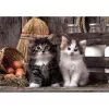 Clementoni High Quality Collection 39943 Puzzle 1000 Teile Tiere