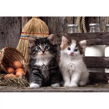 Clementoni High Quality Collection 39943 Puzzle 1000 Teile Tiere