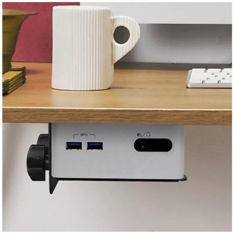 Techly Untertisch verstellbare CPU-Halterung, 5 kg, 75 x 75 mm, 100 x 100 mm, Schwarz