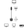 Techly ICOC DSP-C12-030P Videokabeladapter 3 m DisplayPort DVI-D Schwarz
