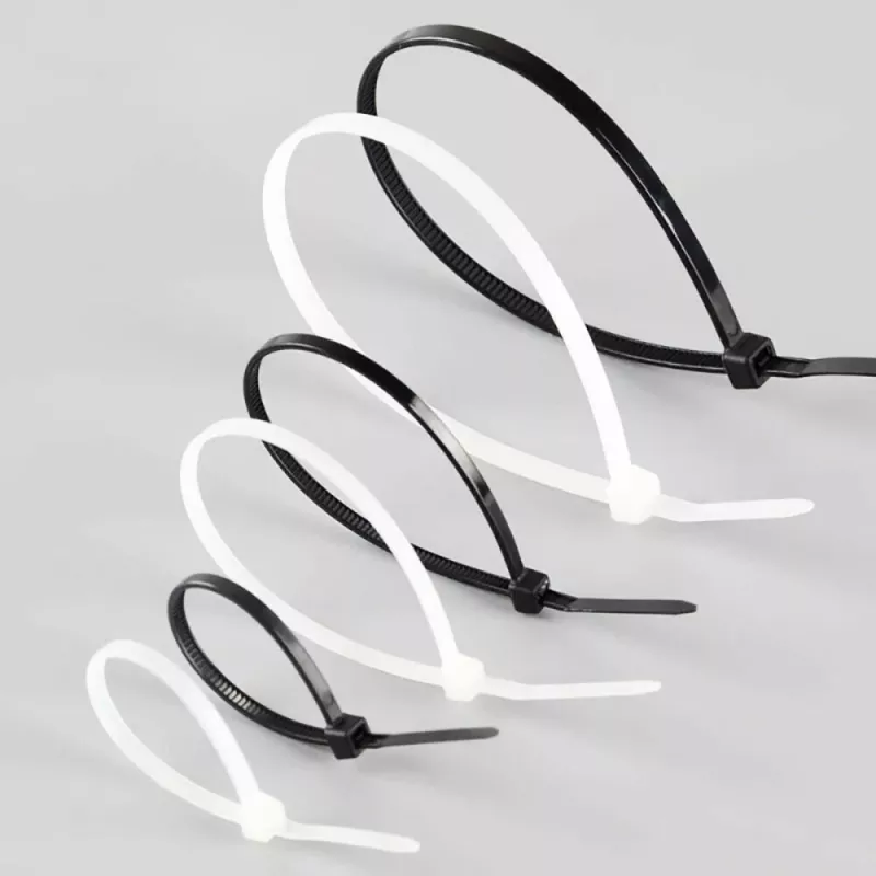 Techly Kabelbinder Nylon Patch 100X2,5 mm 100 Stück Schwarz ISWT-10025-BK