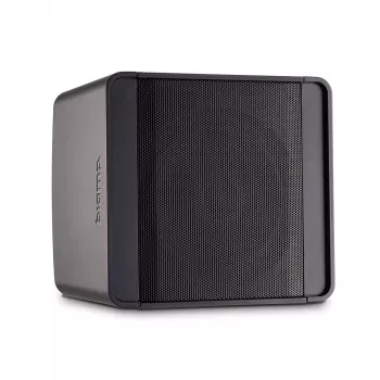 Biamp Desono KUBO5T 2-Wege Schwarz Kabelgebunden 50 W