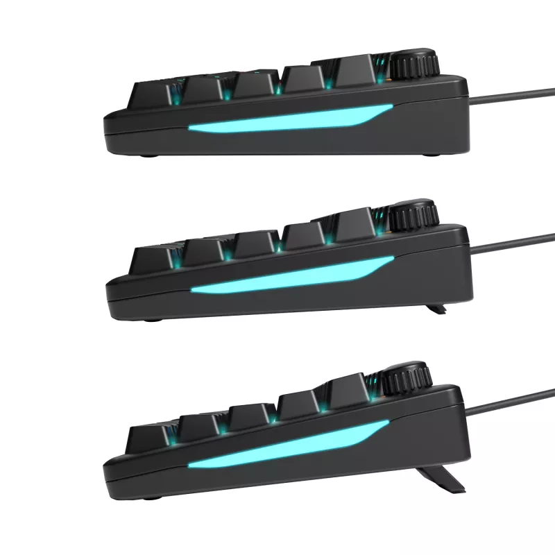 Glorious Gaming GMBK 75% Tastatur USB QWERTY US-Englisch Schwarz