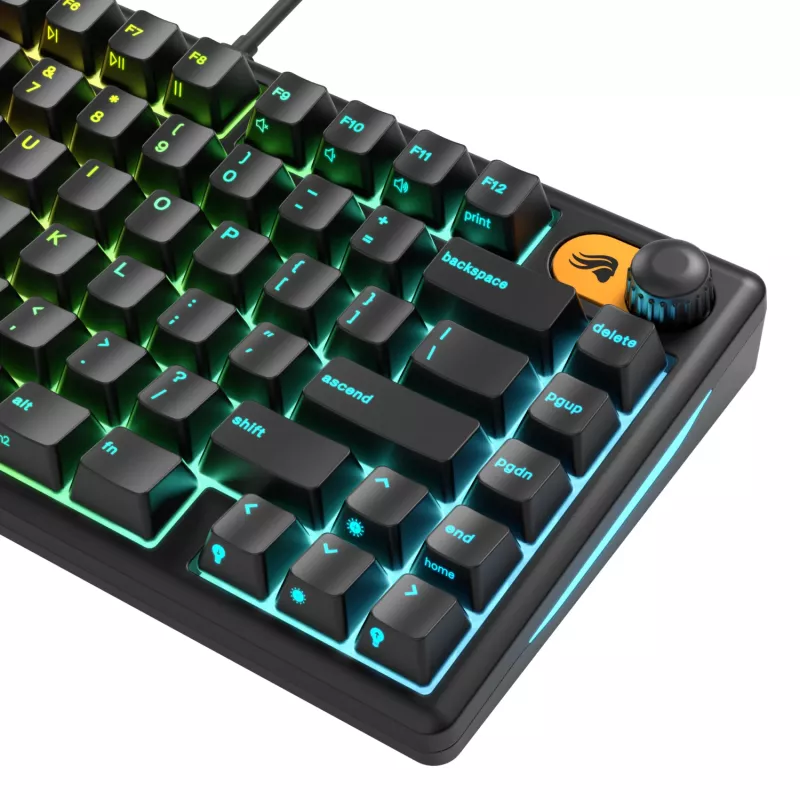 Glorious Gaming GMBK 75% Tastatur USB QWERTY US-Englisch Schwarz