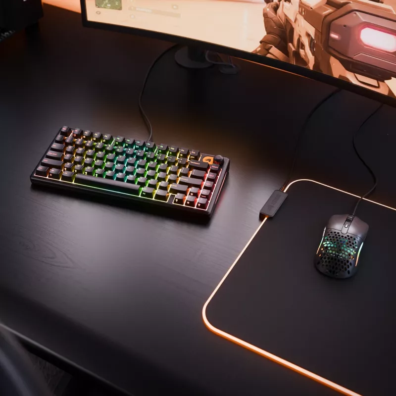 Glorious Gaming GMBK 75% Tastatur USB QWERTY US-Englisch Schwarz