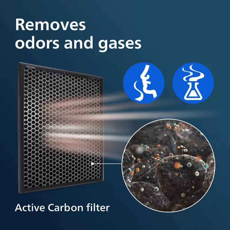 Philips 2000er Serie Original-Ersatzfilter FY2420/30 NanoProtect Aktivkohlefilter