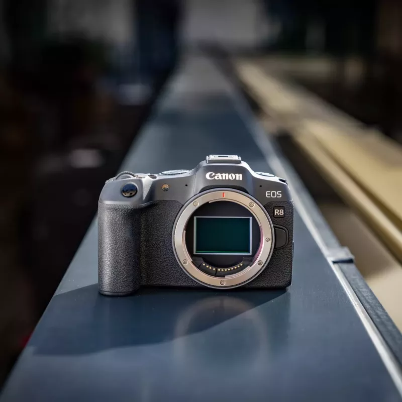 Canon EOS R8 + RF 24-105mm F4-7.1 IS STM MILC 24,2 MP CMOS 6000 x 4000 Pixel Schwarz
