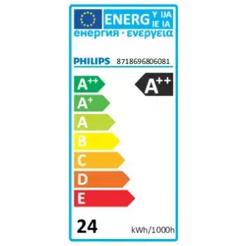 Philips Master LED-Lampe 6500 K 24 W G13 3100 lm 50000 h
