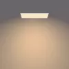 Philips Functional Panel Ceiling Ceiling Light 36 W Rechteckig