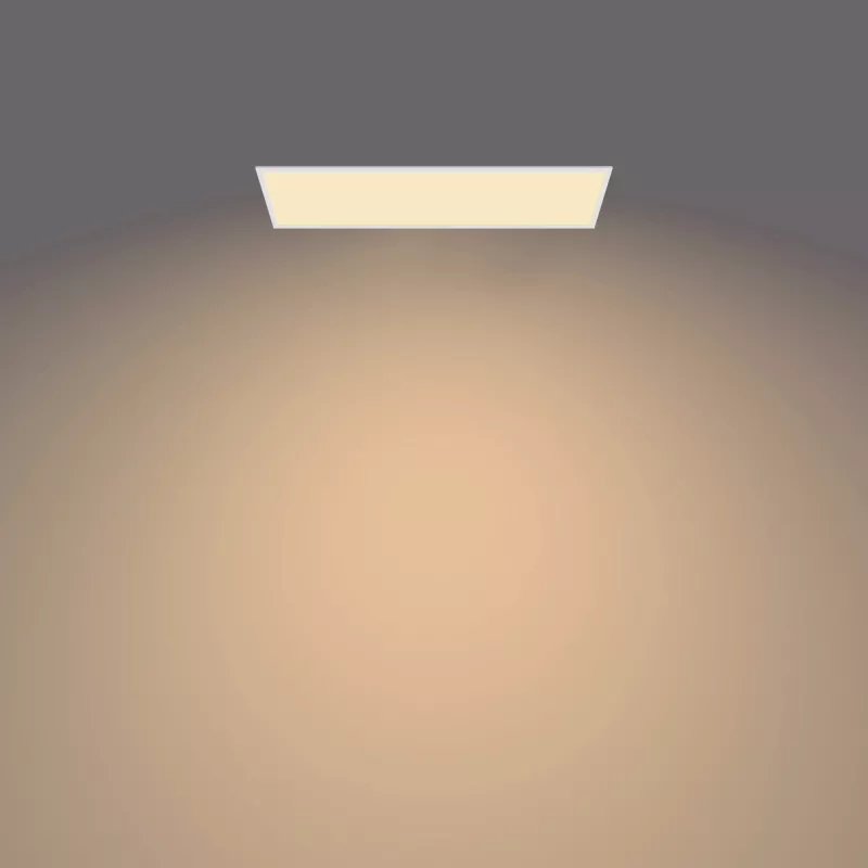 Philips Functional Panel Ceiling Ceiling Light 36 W Rechteckig
