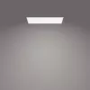 Deckenleuchte Philips Functional Panel 36 W LED rechteckig 300×1200×42 mm, weiß