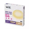 Intelligente Deckenleuchte Wiz Adria Ceiling 17 W — Wi‑Fi/Bluetooth, 320×68 mm, weiß