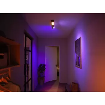 Philips Hue White and colour ambience Centris 2-Spot-Deckenleuchte