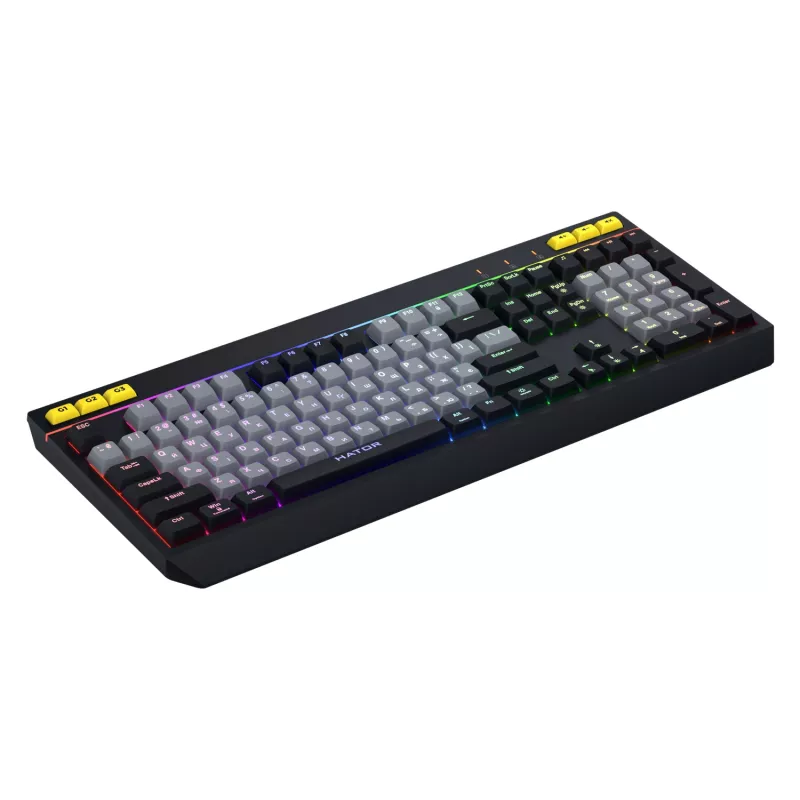 HATOR Icefall Tastatur Gaming USB QWERTY US English Schwarz RGB LED