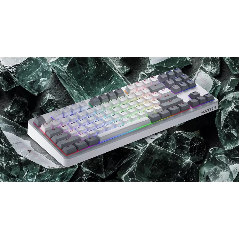 HATOR Rockfall 3 TKL Wireless, schwarz, QMK/VIA, OMA-Profil weiß-schwarze Tastenkappen Tastatur - lineare mechanische Hotswap-Schalter - US - ANSI-Layout (HTK850)