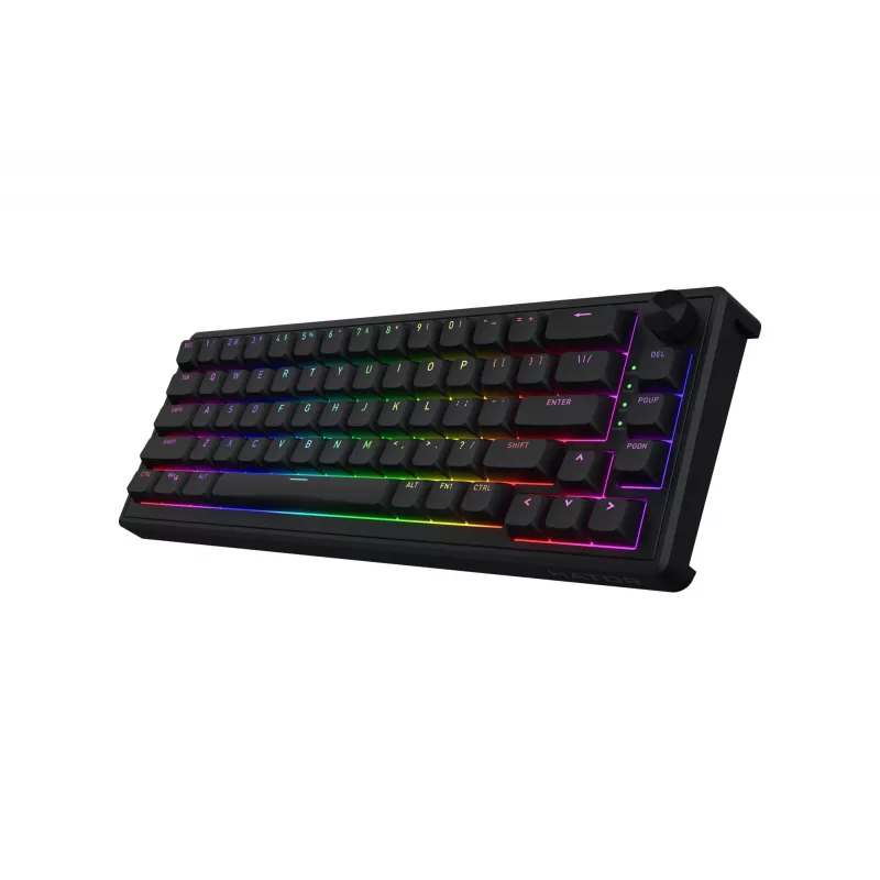 HATOR Skyfall 65 Kabelgebunden, Mechanisch, USB-C, Aurum Sterling, 70M Anschläge, RGB, Schwarz, 790g