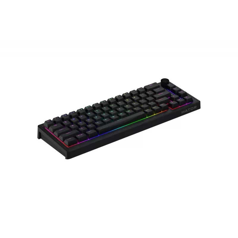 HATOR Skyfall 65 Kabelgebunden, Mechanisch, USB-C, Aurum Sterling, 70M Anschläge, RGB, Schwarz, 790g