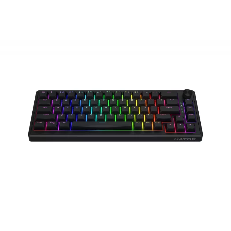 HATOR Skyfall 65 Kabelgebunden, Mechanisch, USB-C, Aurum Sterling, 70M Anschläge, RGB, Schwarz, 790g