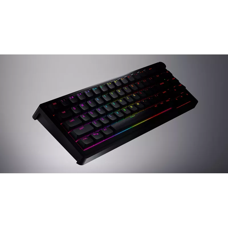 HATOR Skyfall 65 Kabelgebunden, Mechanisch, USB-C, Aurum Sterling, 70M Anschläge, RGB, Schwarz, 790g