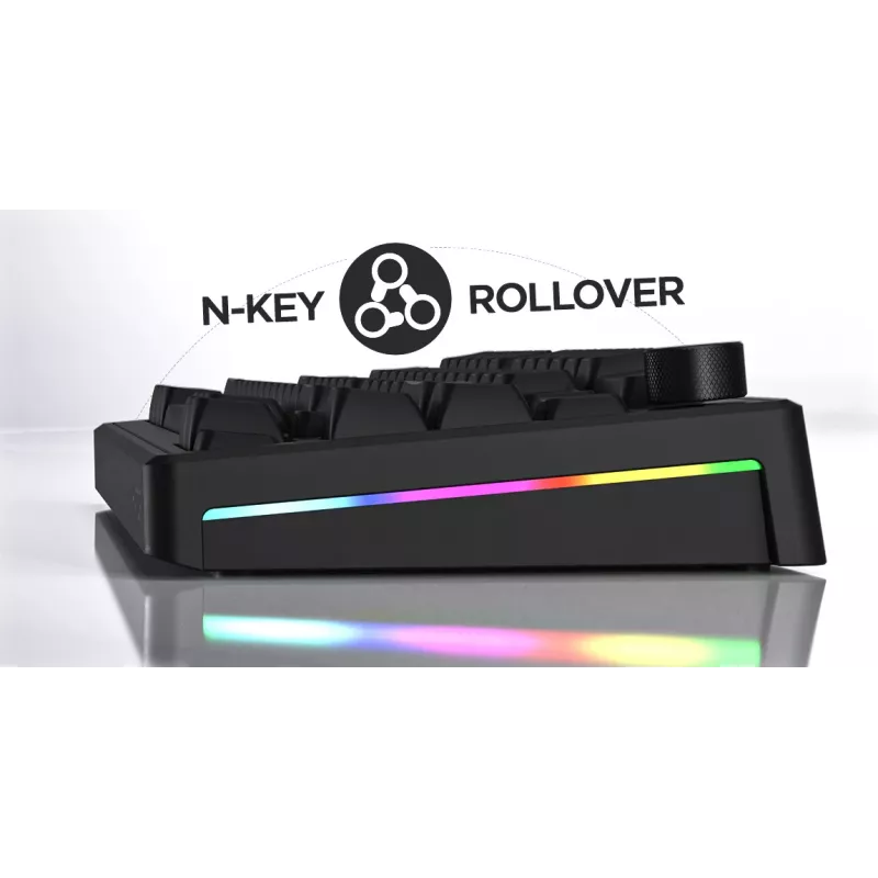 HATOR Skyfall 65 Kabelgebunden, Mechanisch, USB-C, Aurum Sterling, 70M Anschläge, RGB, Schwarz, 790g