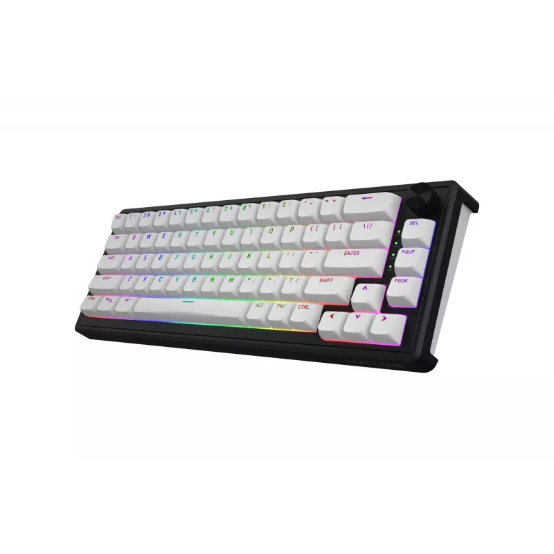 HATOR Skyfall Wireless 65 Tastatur Gaming USB + RF Wireless + Bluetooth QWERTY US English Schwarz, Weiß