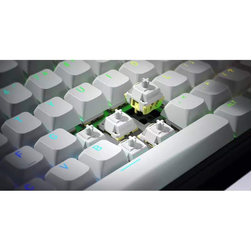 HATOR Skyfall Wireless 65 Tastatur Gaming USB + RF Wireless + Bluetooth QWERTY US English Schwarz, Weiß