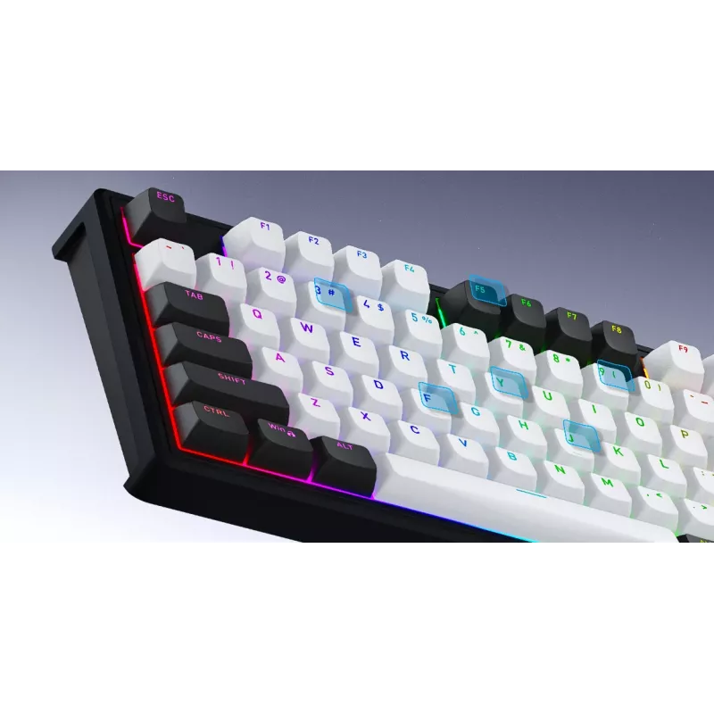 HATOR Skyfall Pro Wireless 65 Tastatur Gaming USB + RF Wireless + Bluetooth QWERTY US English Schwarz, Grau