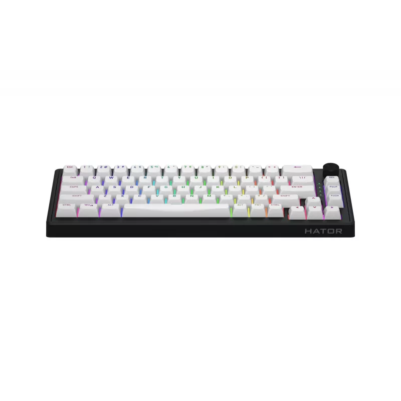 HATOR Skyfall 65 MAG ULTRA 8K Tastatur Gaming USB QWERTY US-Englisch Schwarz, Weiß