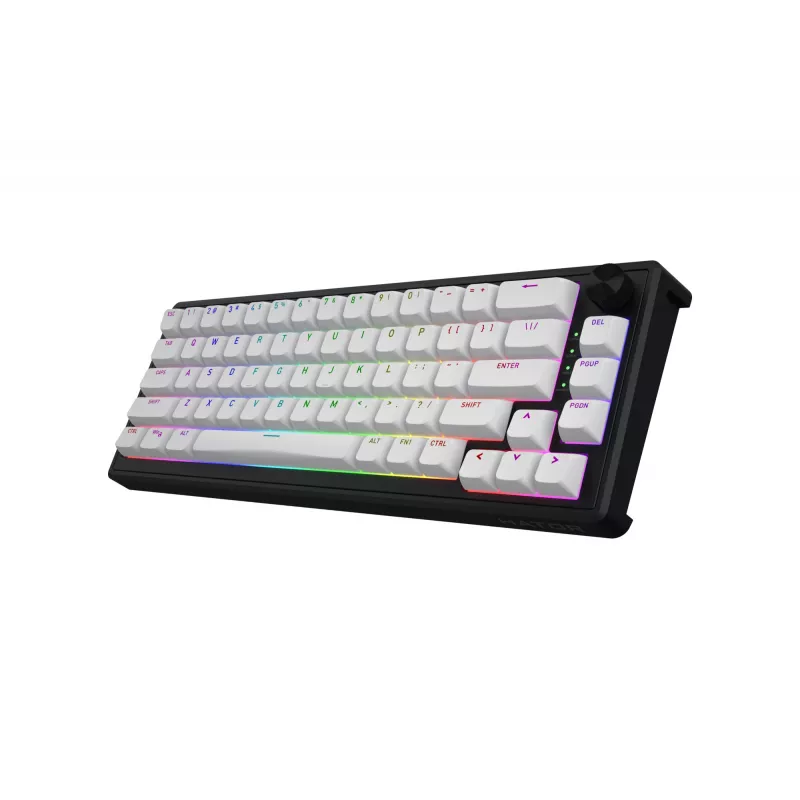 HATOR Skyfall 65 MAG ULTRA 8K Tastatur Gaming USB QWERTY US-Englisch Schwarz, Weiß