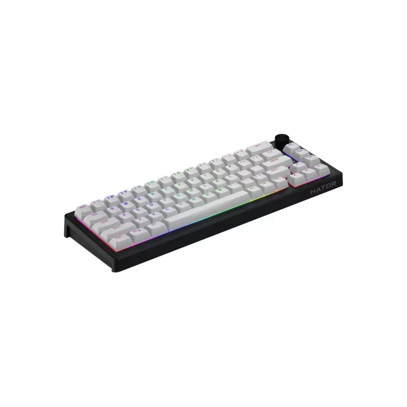 HATOR Skyfall 65 MAG ULTRA 8K Tastatur Gaming USB QWERTY US-Englisch Schwarz, Weiß