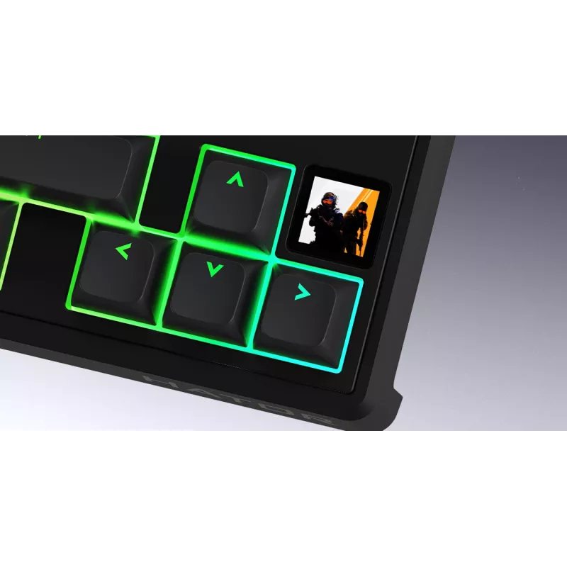 HATOR Skyfall 65 MAG ULTIMA 8K kabellose Tastatur Gaming USB + RF Wireless + Bluetooth QWERTY US English Schwarz, Weiß