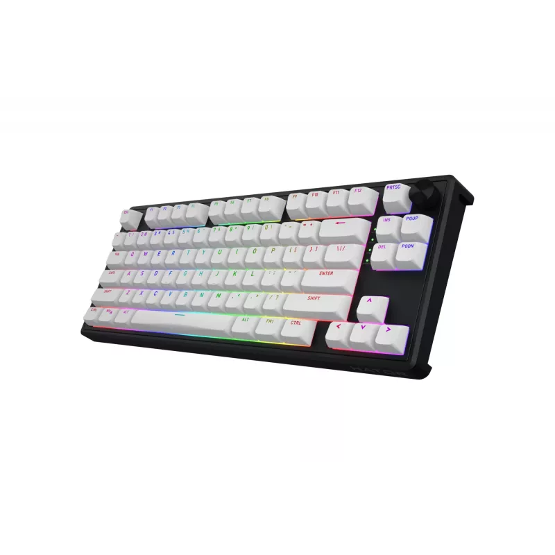 HATOR Skyfall 80 MAG ULTRA 8K Tastatur Gaming USB QWERTY US-Englisch Schwarz, Weiß