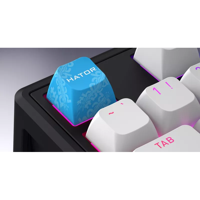 HATOR Skyfall 80 MAG ULTRA 8K Tastatur Gaming USB QWERTY US-Englisch Schwarz, Weiß
