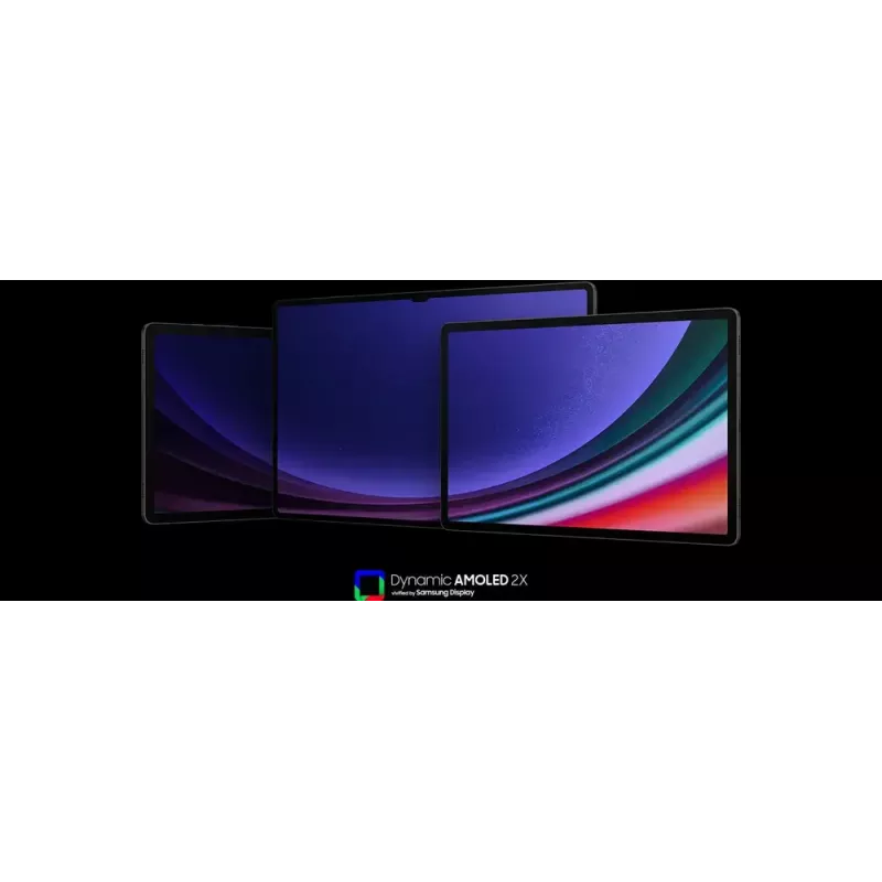 Samsung Galaxy Tab S9 SM-X716B 5G Snapdragon 128 GB 27,9 cm (11 Zoll) 8 GB Wi-Fi 6 (802.11ax) Android 13 Graphite