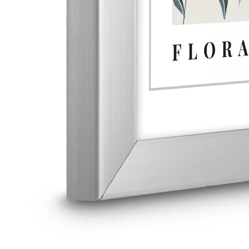 Hama Flora Einzelbilderrahmen Silber