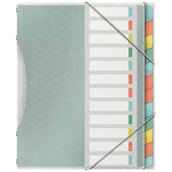 Esselte Colour'Breeze Trennbuch mit 12 Tabs, Mehrfarbig, Polypropylen (PP), 266 mm, 20 mm, 370 g, 1 Stück