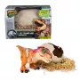 Jurassic World Primal Hatch interaktives Spielzeug-Dinosaurier & Ei, Schlüpfen & Trainieren deines eigenen Baby-Dinos mit über 100 Geräuschen & Reaktionen, Kinderspielzeug für Jungen & Mädchen ab 5 Jahren